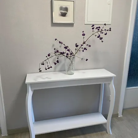 2 Zimmer-wohnung Ruhig Modern Zentrumsnah آبنسبرغ